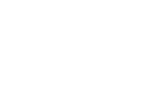 Official Selection, Within the Family International Festival of Family and Children's Films 2026