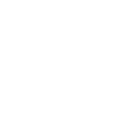 Venice Film Week, Official Selection